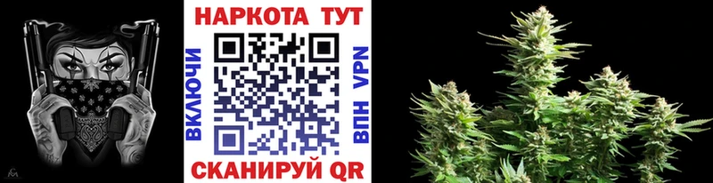 Какие есть наркотики Назрань ГАШИШ  Бошки Шишки  КОКАИН  blacksprut онион  Меф 
