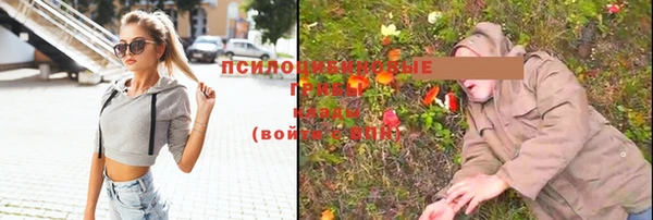 MESCALINE Алзамай