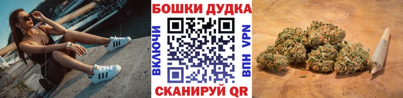 Каннабис план  Назрань 